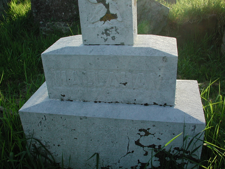 Old Hallahan Grave 2.jpg 443.8K